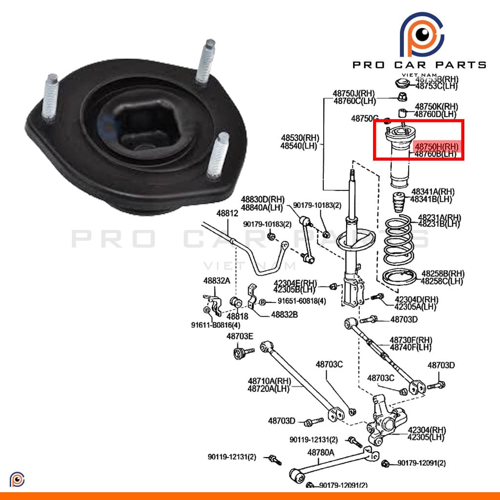 Bát bèo phuộc sau Camry 2001-2006 ACV30